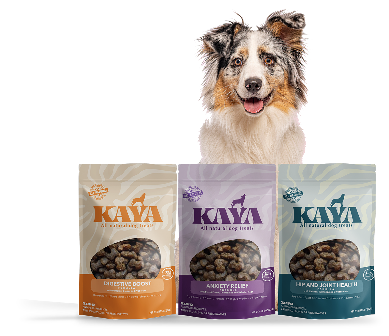 happy golden retriever dog enjoying natural organic treats in a bright kitchen setting with herbs and natural ingredients